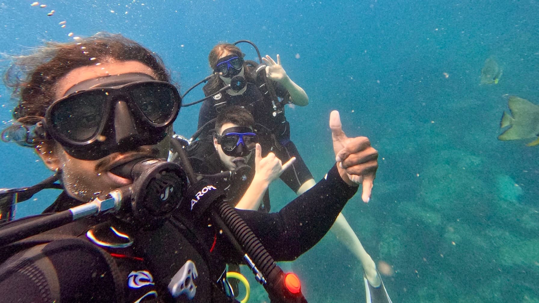 DSD — 1 Dive in Nilaveli, Sri Lanka — $85 / person
